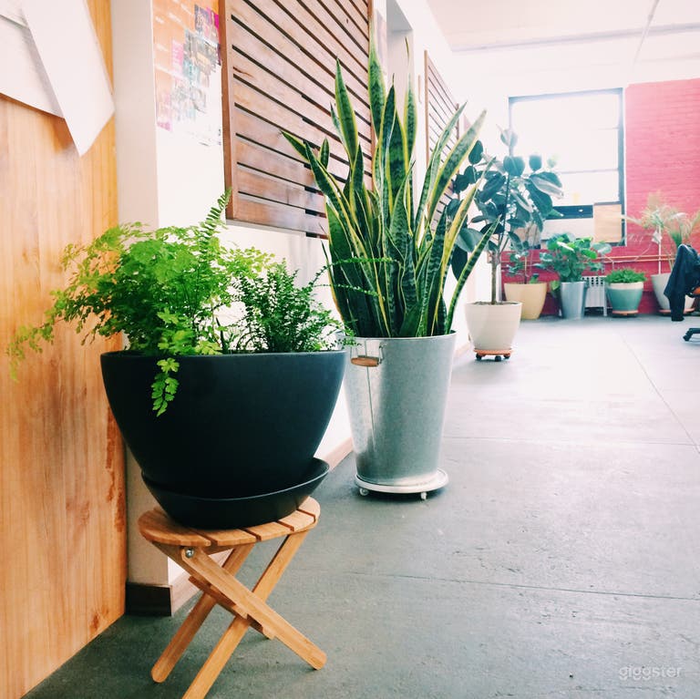  Large Event Space and Office Brooklyn 