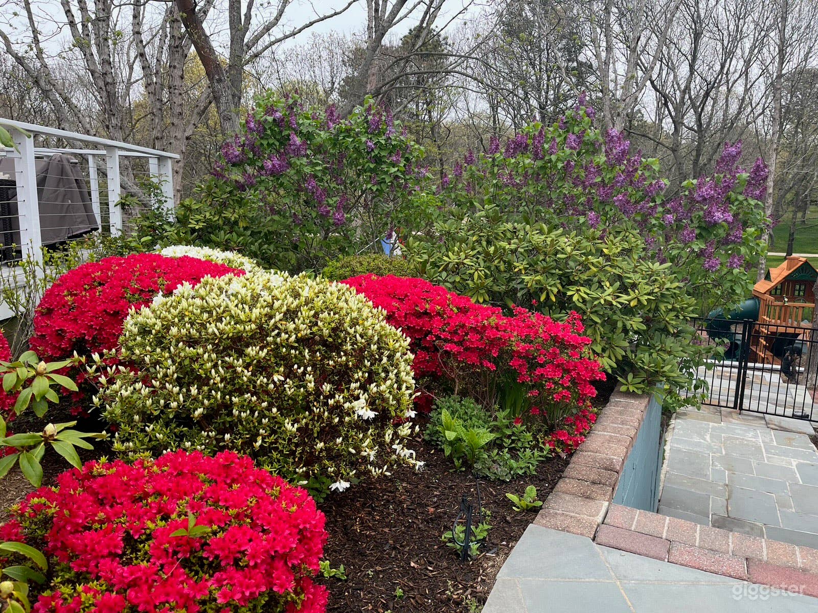 Backyard Oasis with Pool &amp; Firepit Photo 3