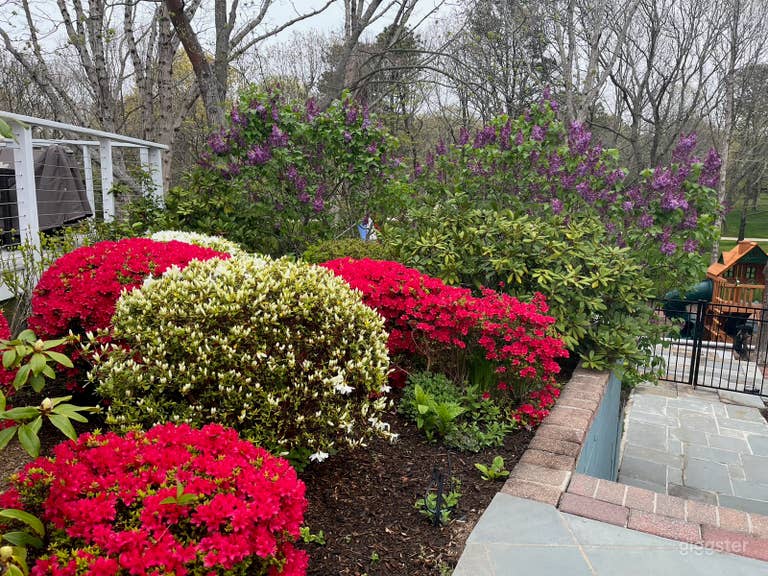 Backyard Oasis with Pool & Firepit 