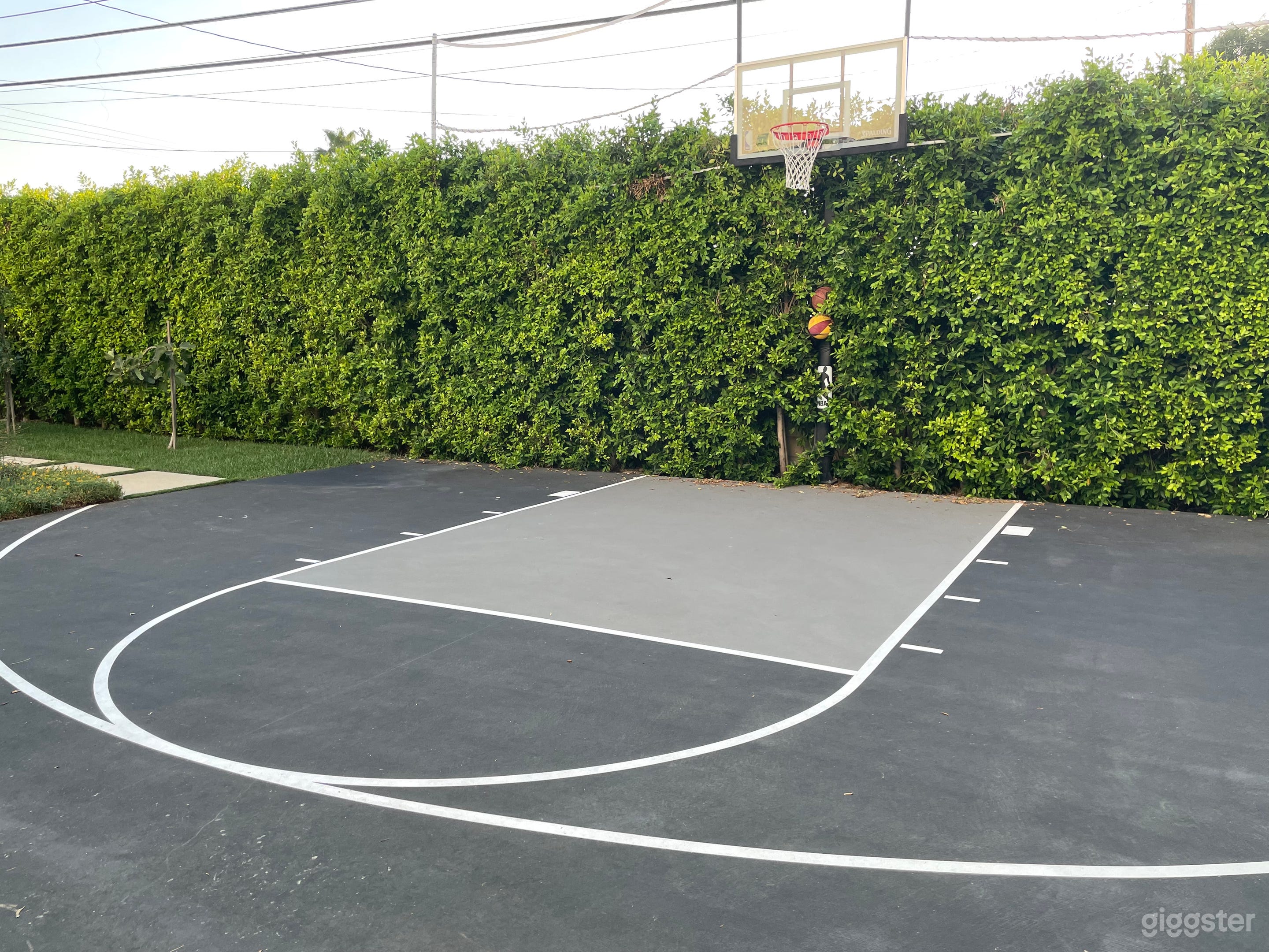 Half Court Basketball in a state-of-the-art home Photo 2