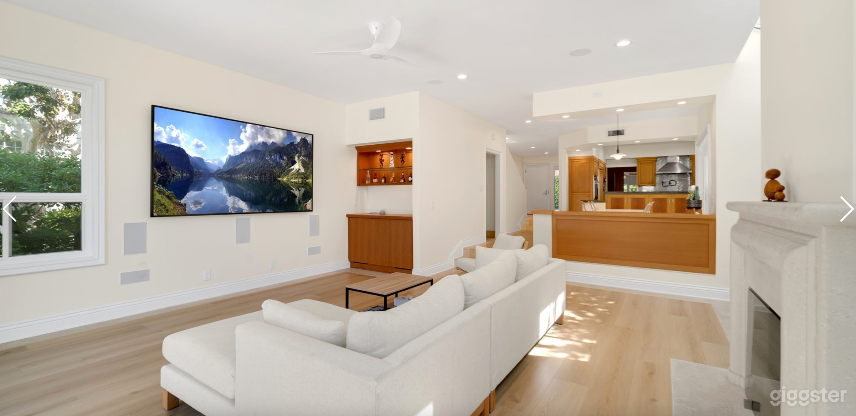 Venice CA Overlooking Wildlife and Lagoon Photo 4