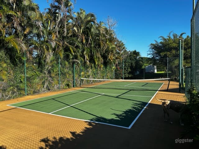 Pickleball Court in Secret Oasis  Photo 3