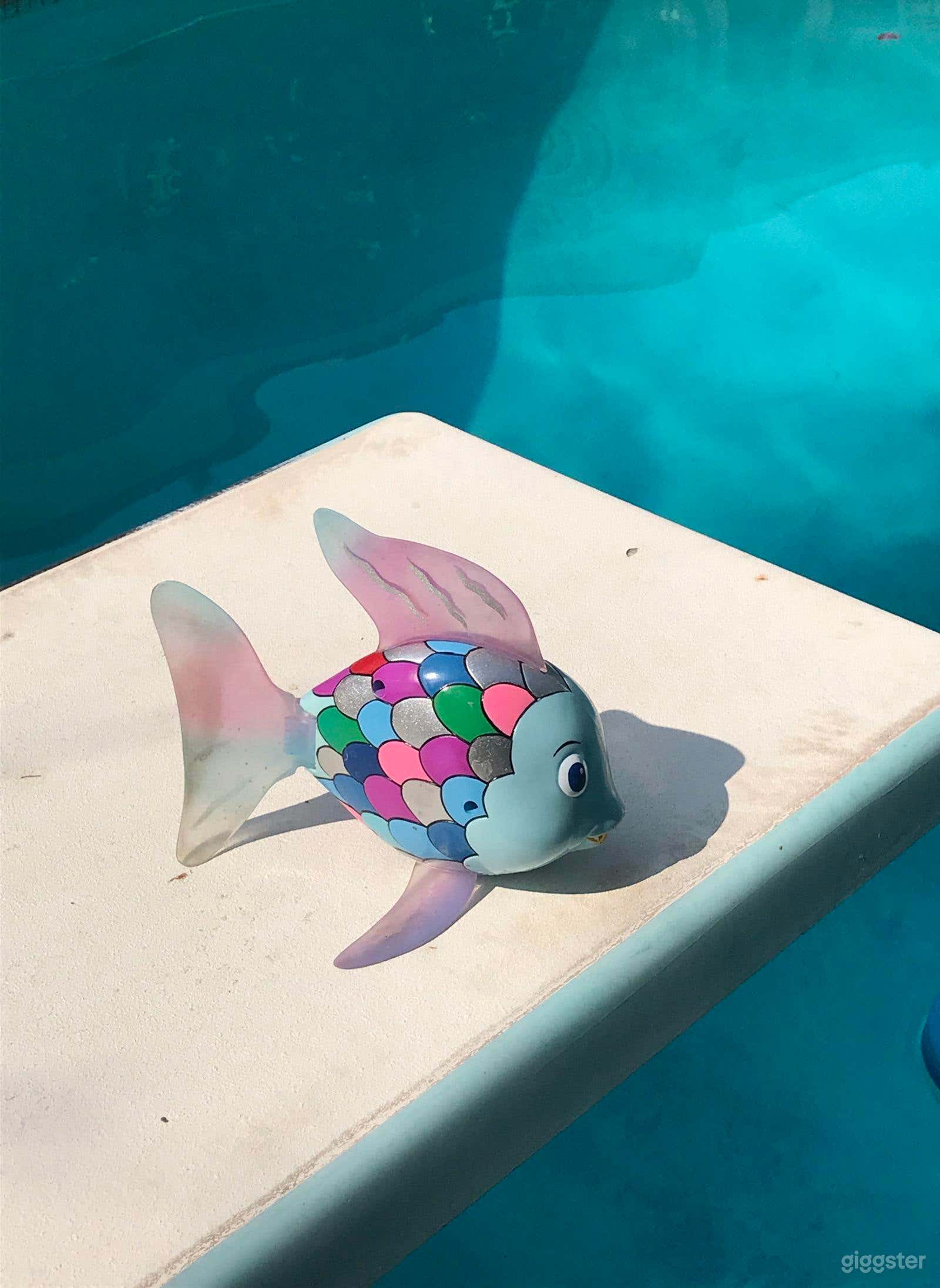 Tropical Backyard - Film-Friendly Location Photo 4