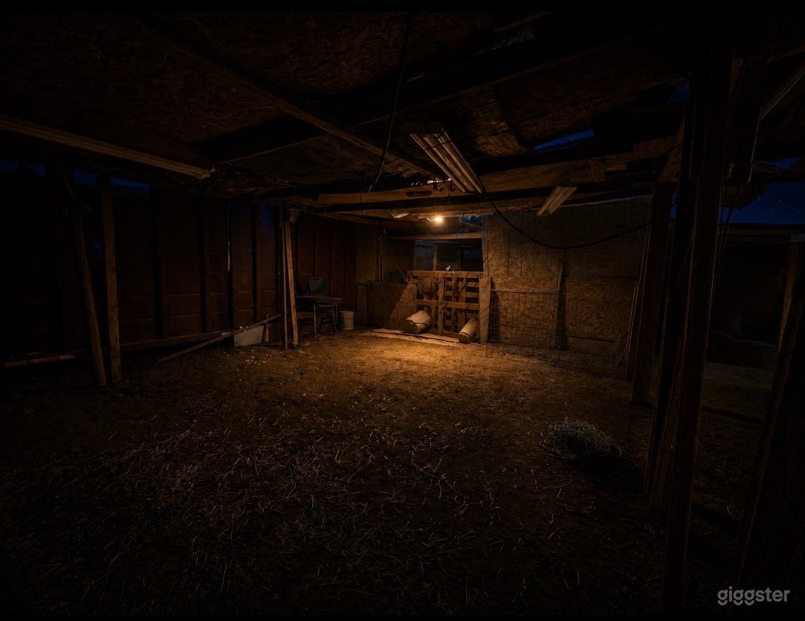 Desert Catina /Gambling /FightClub Room Photo 4