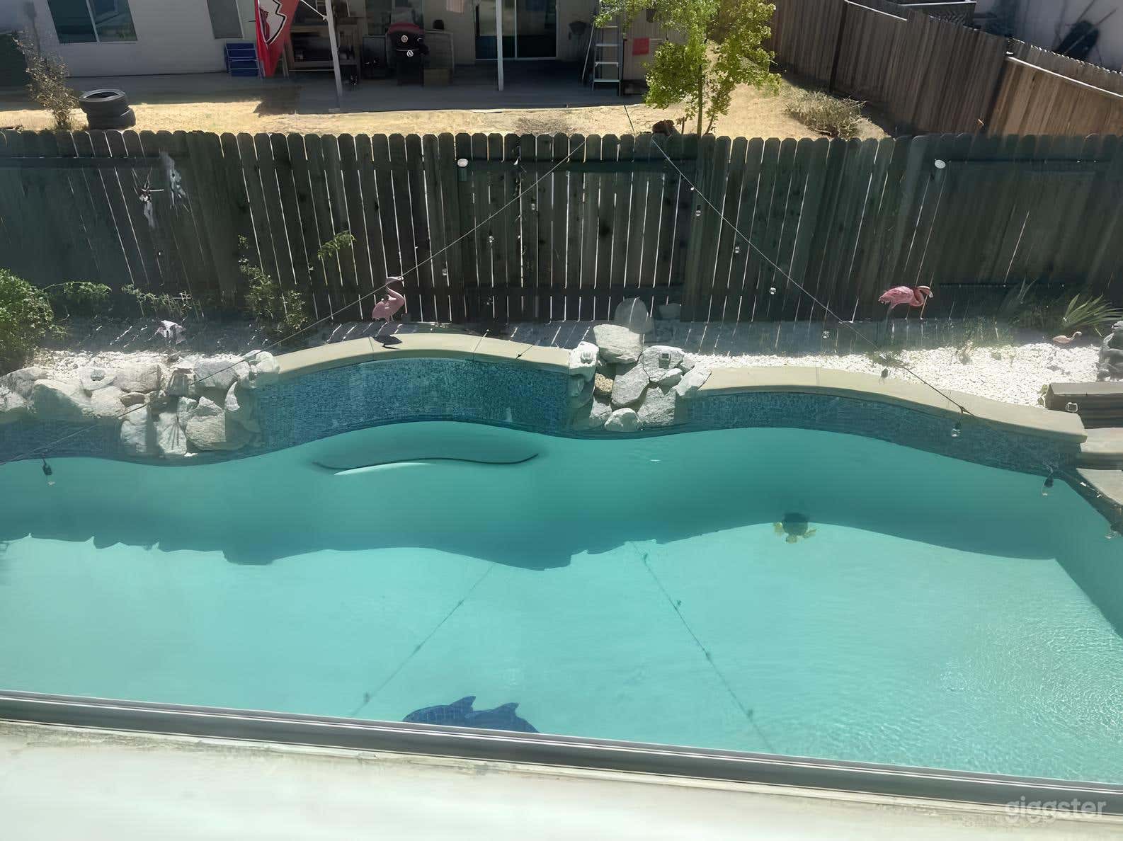 Aquatic Pacific Style Pool Photo 2