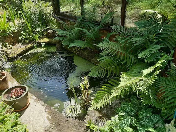 Private House with English Country Garden Photo 4