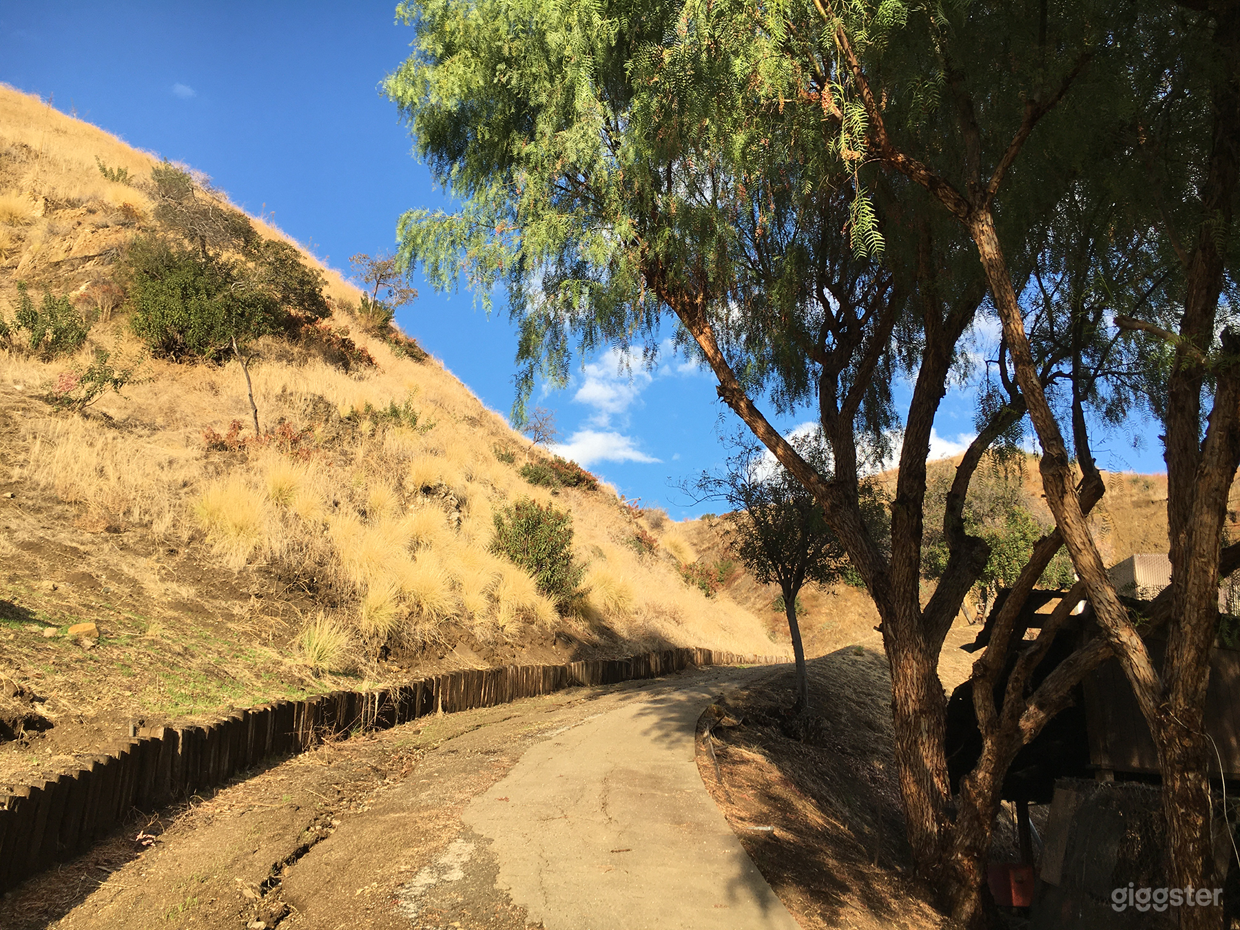 Post Apocalyptic Junkyard ~  Photo 3