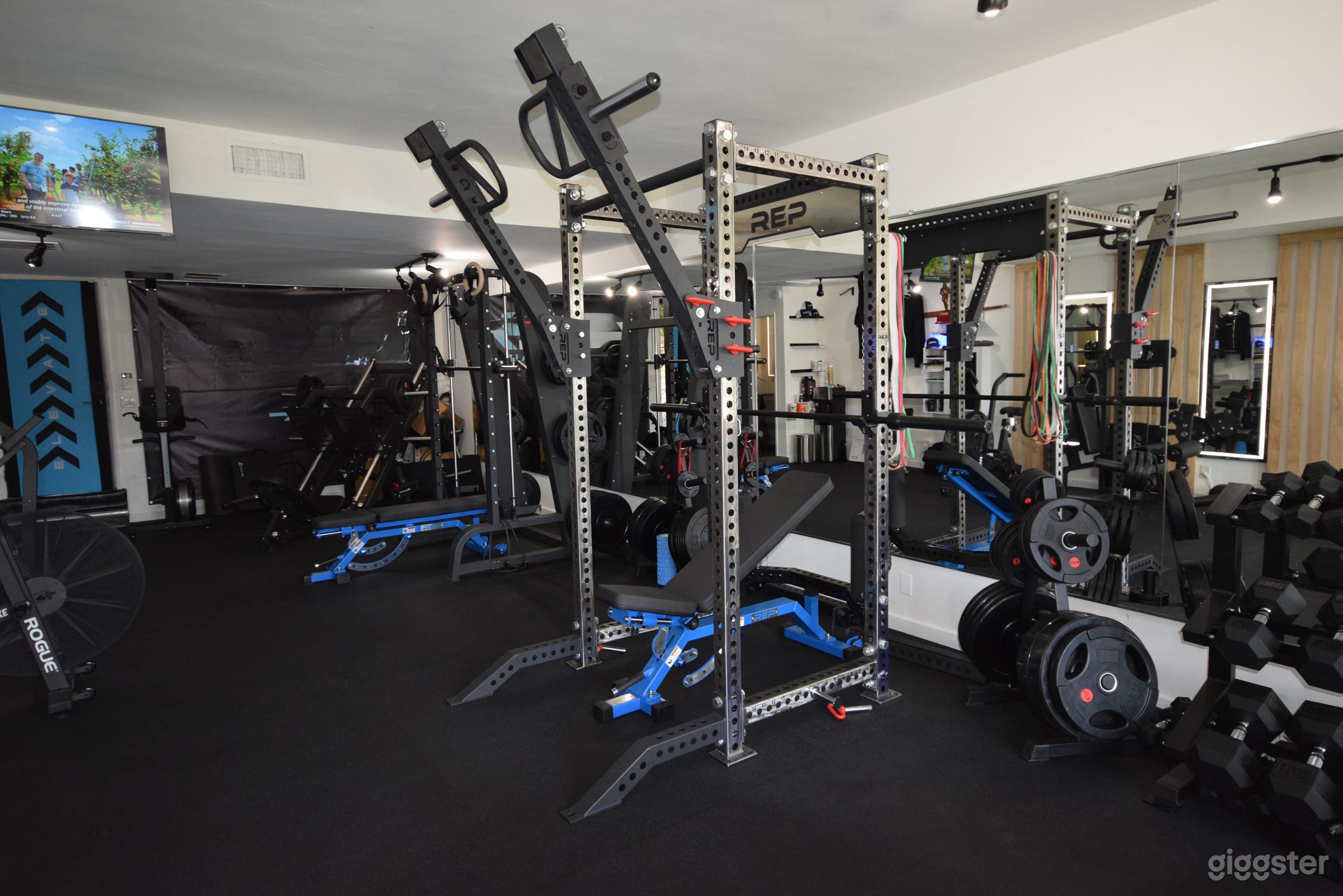 Private Gym for Fitness Influencers, Film and TV Photo 3