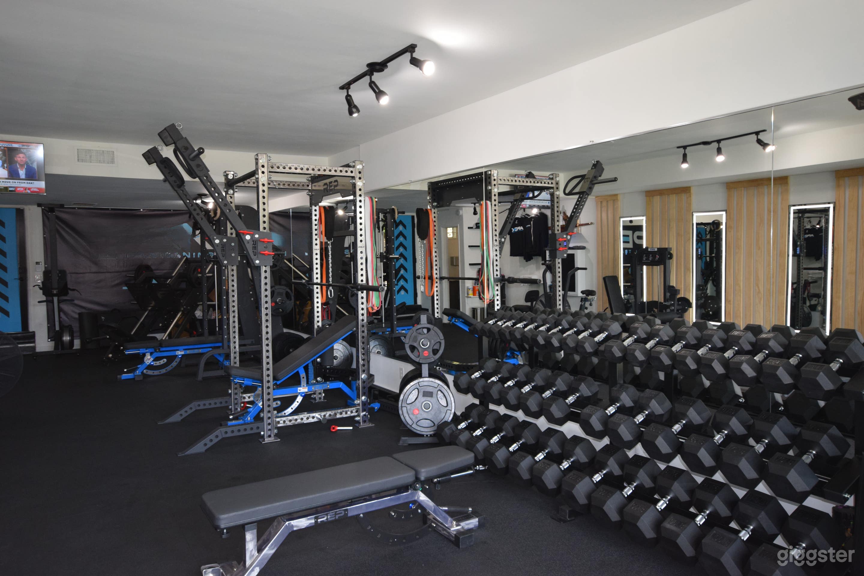 Private Gym for Fitness Influencers, Film and TV Photo 1