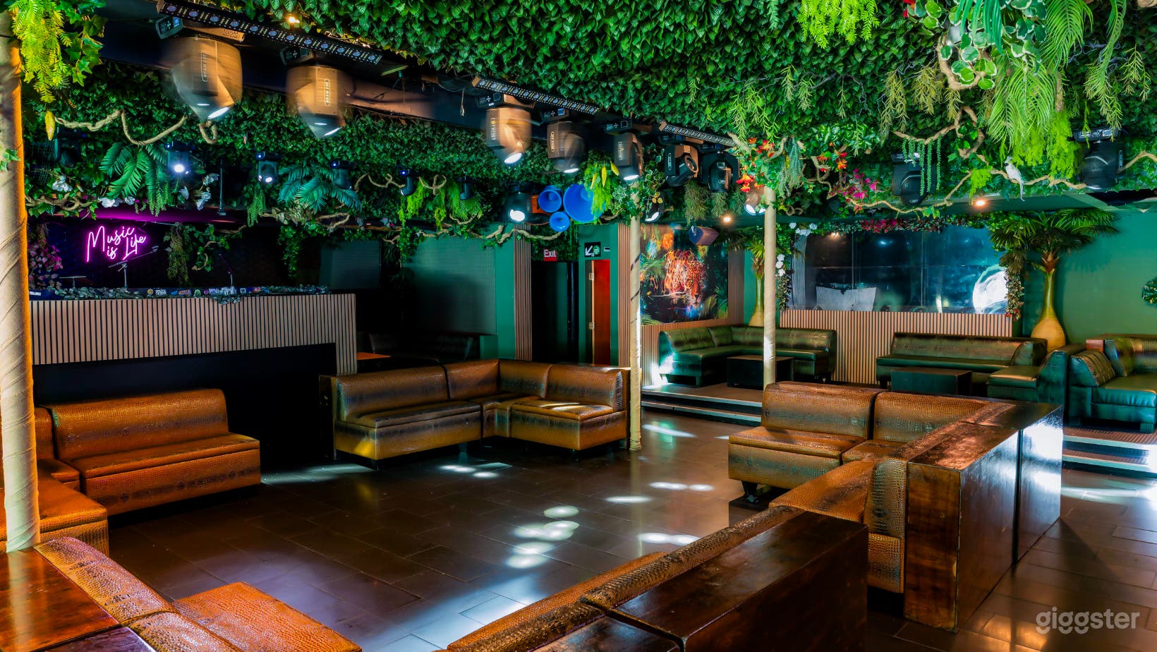 Hollywood Nightclub and Bar Photo 3