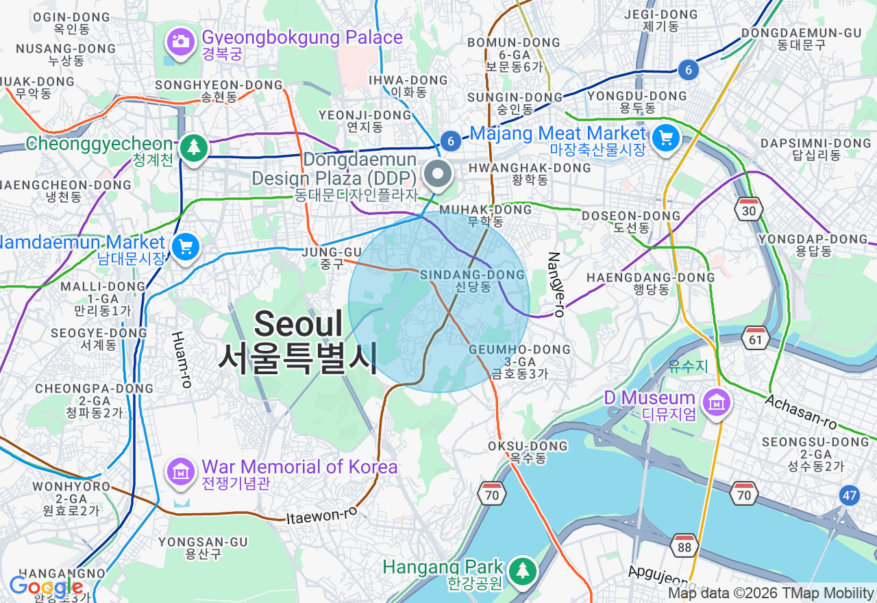 위치 지도