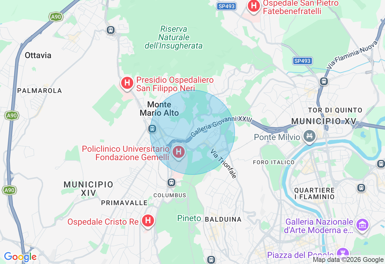 Mappa della posizione