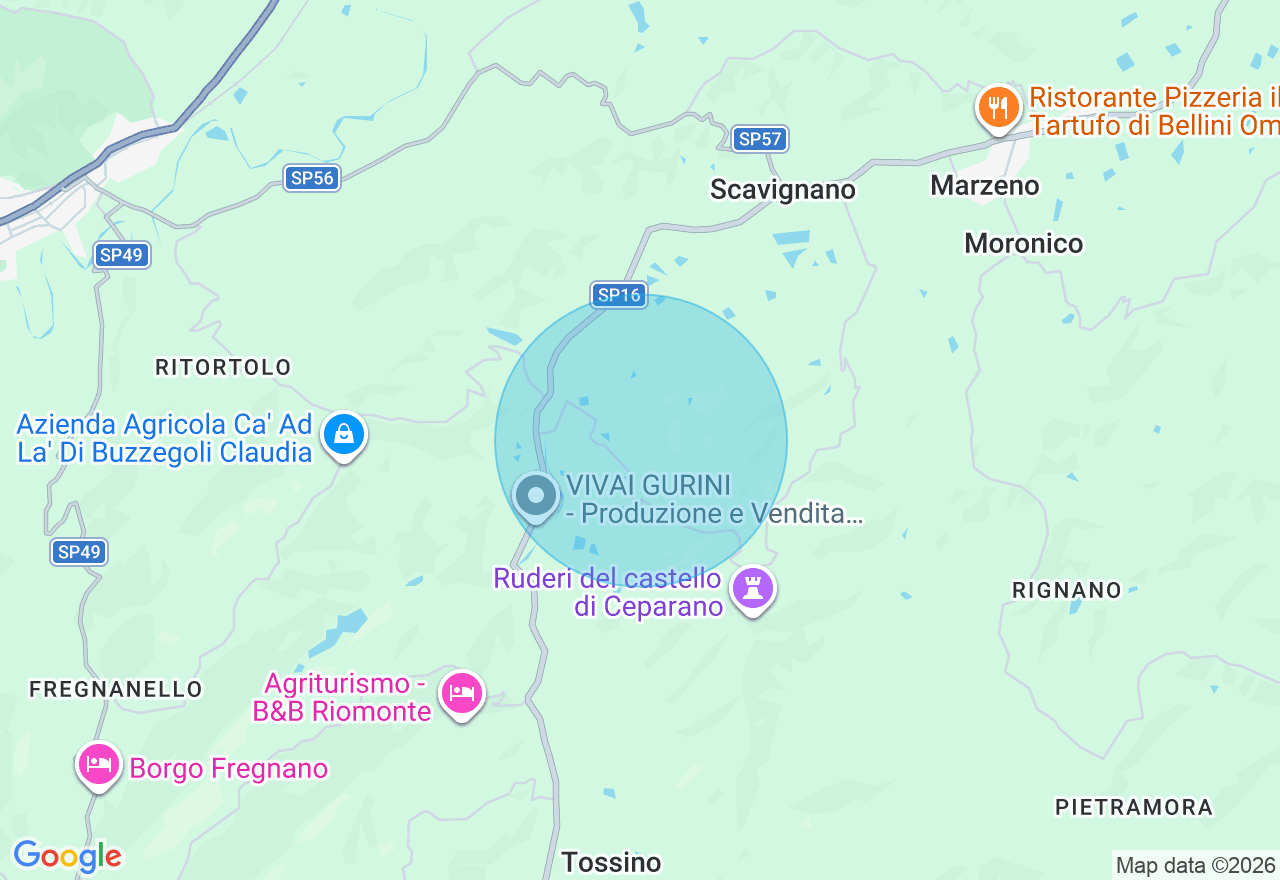 Mappa della posizione