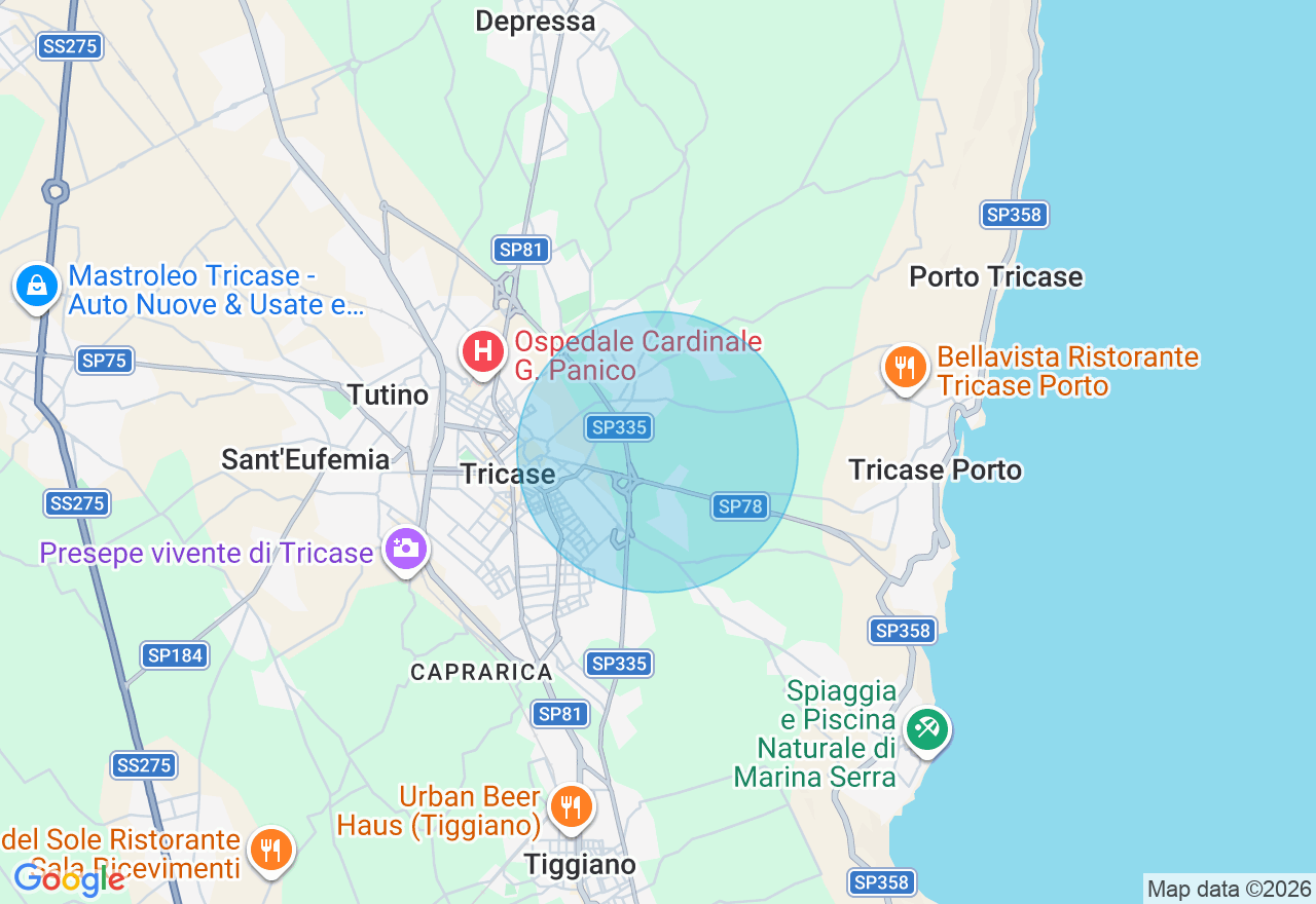 Mappa della posizione