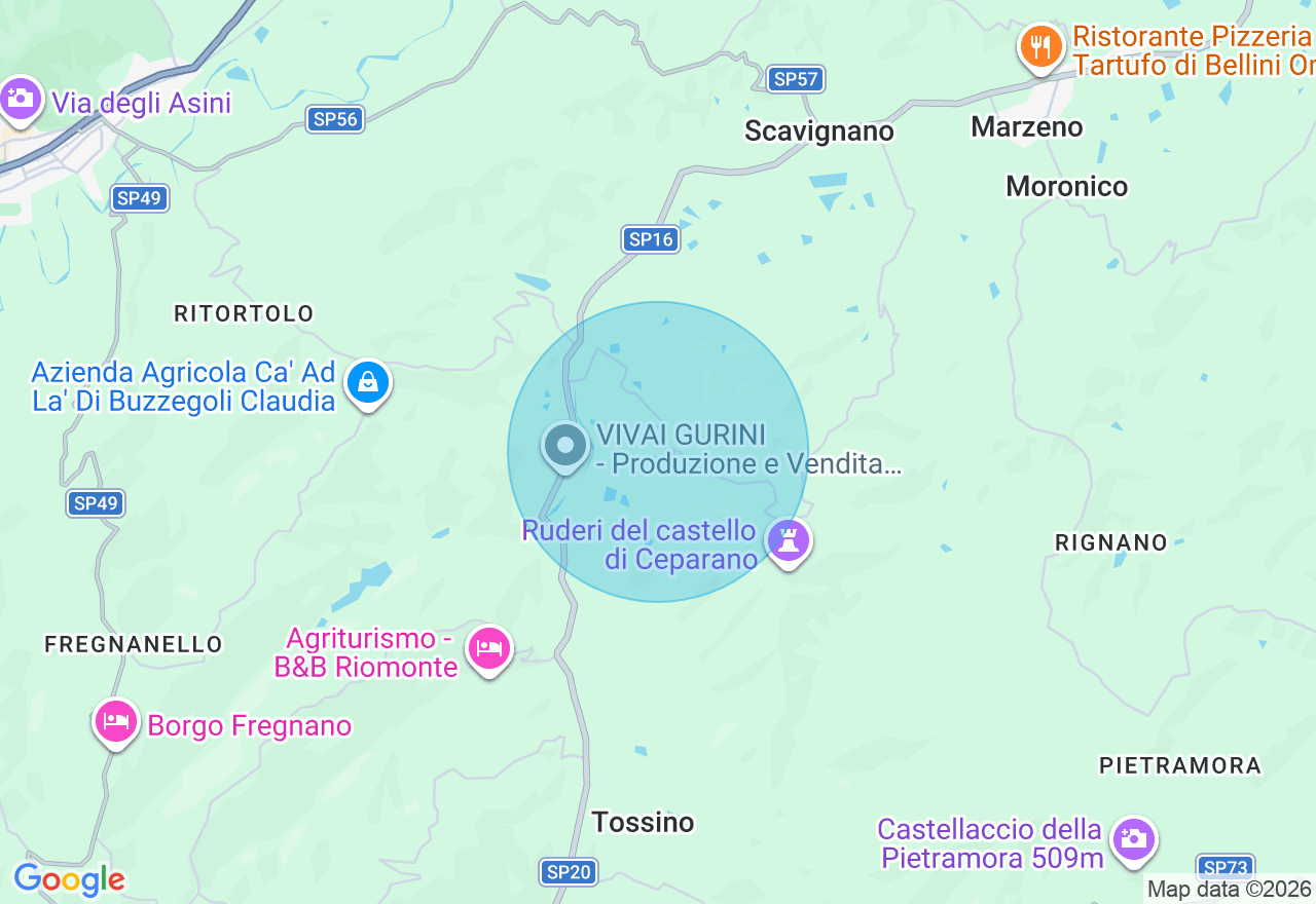 Mappa della posizione