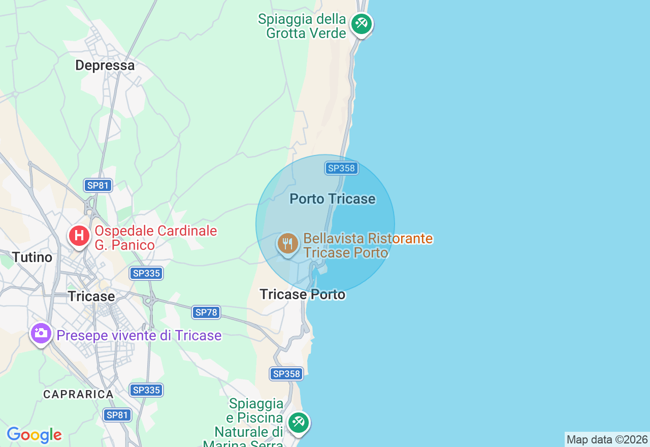Mappa della posizione