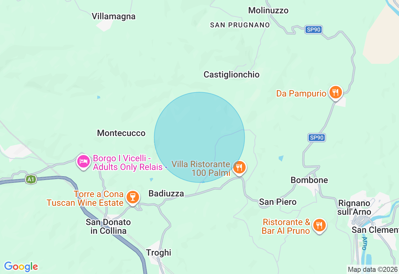 Mappa della posizione