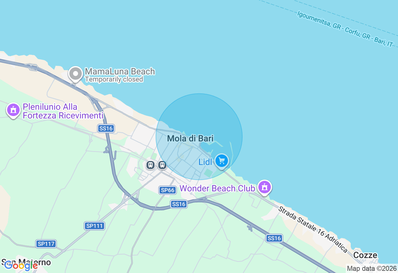 Mappa della posizione