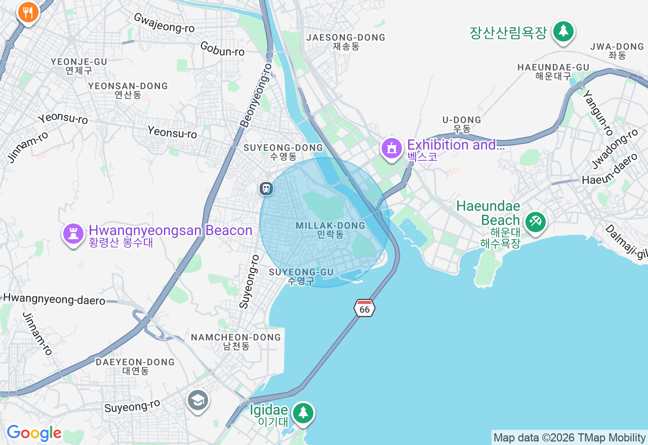 위치 지도