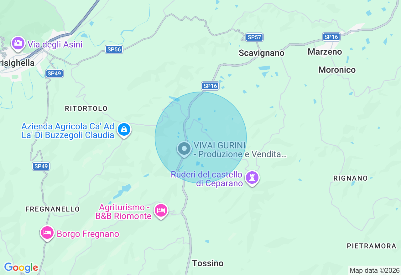 Mappa della posizione