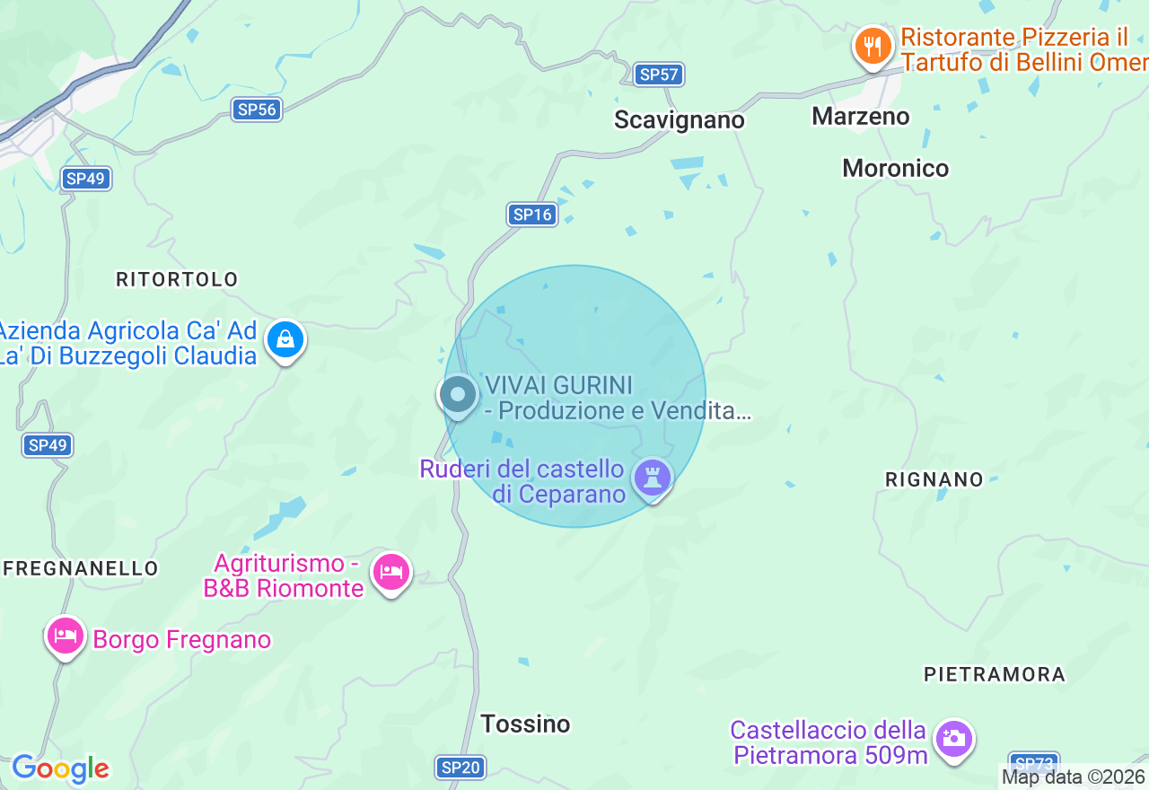 Mappa della posizione