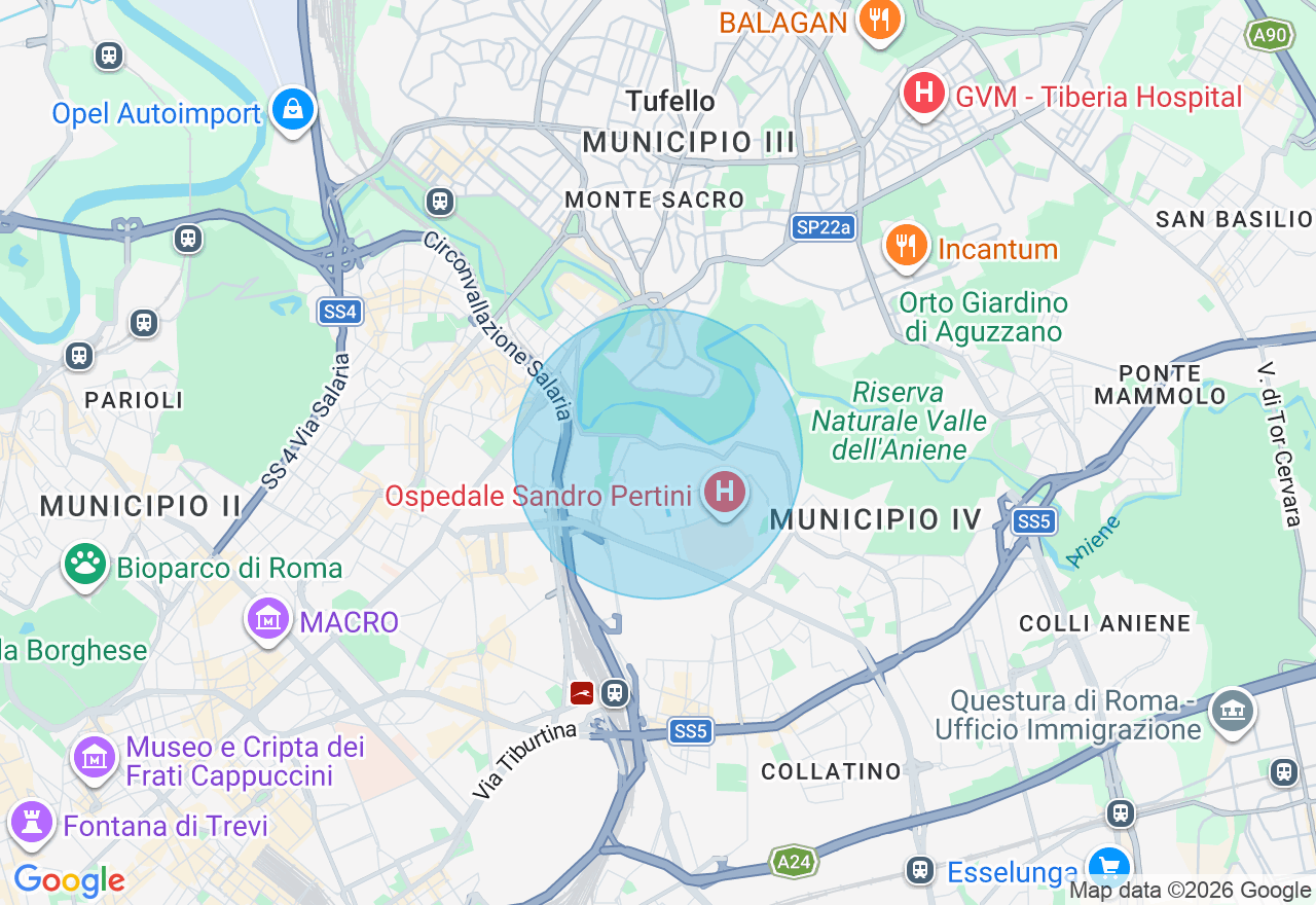Mappa della posizione