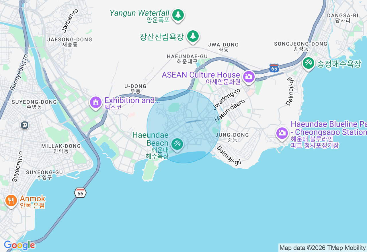 위치 지도