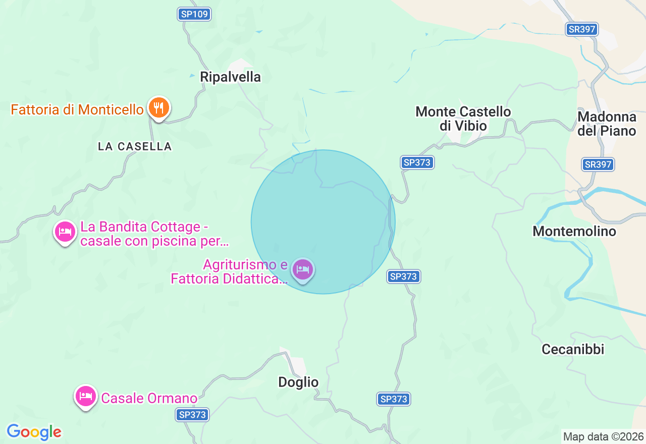 Mappa della posizione