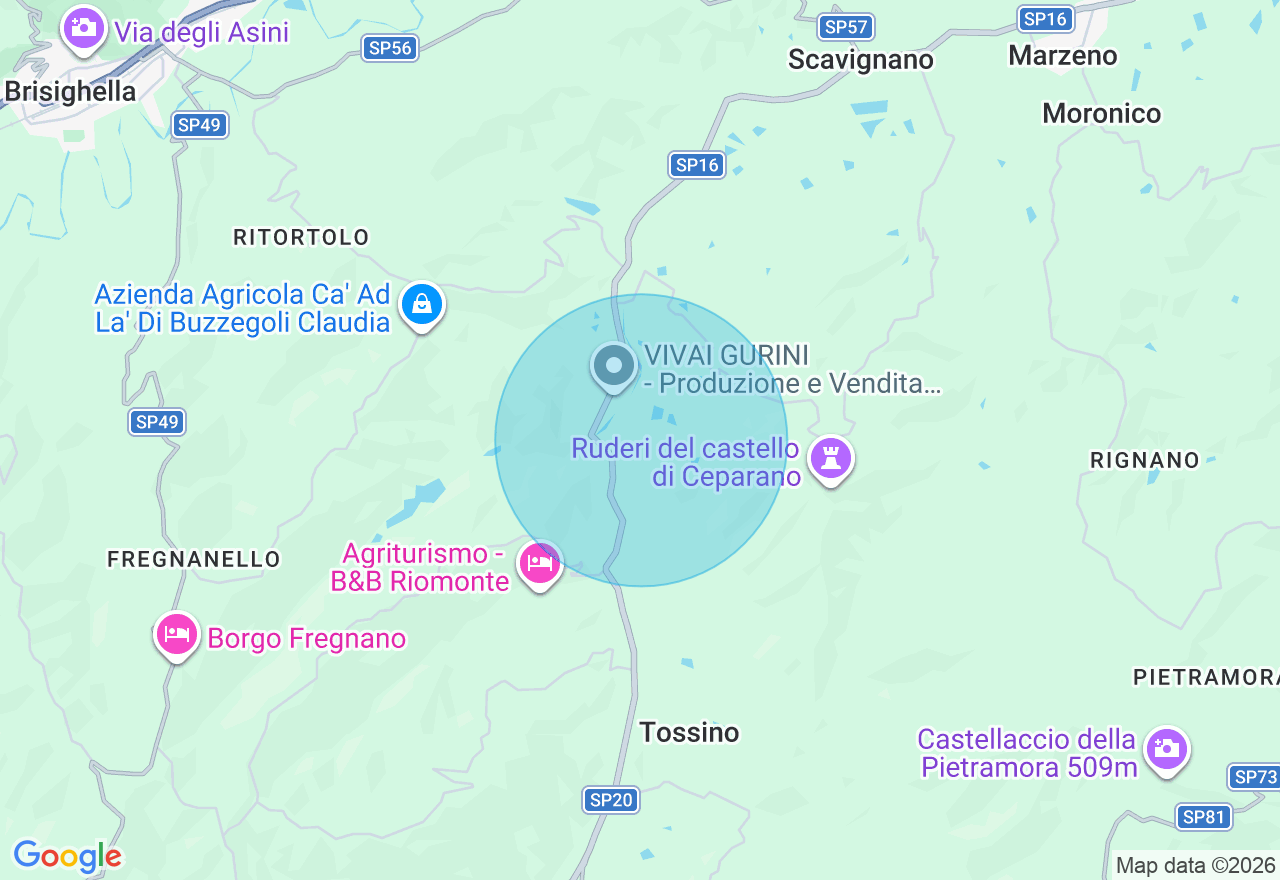 Mappa della posizione