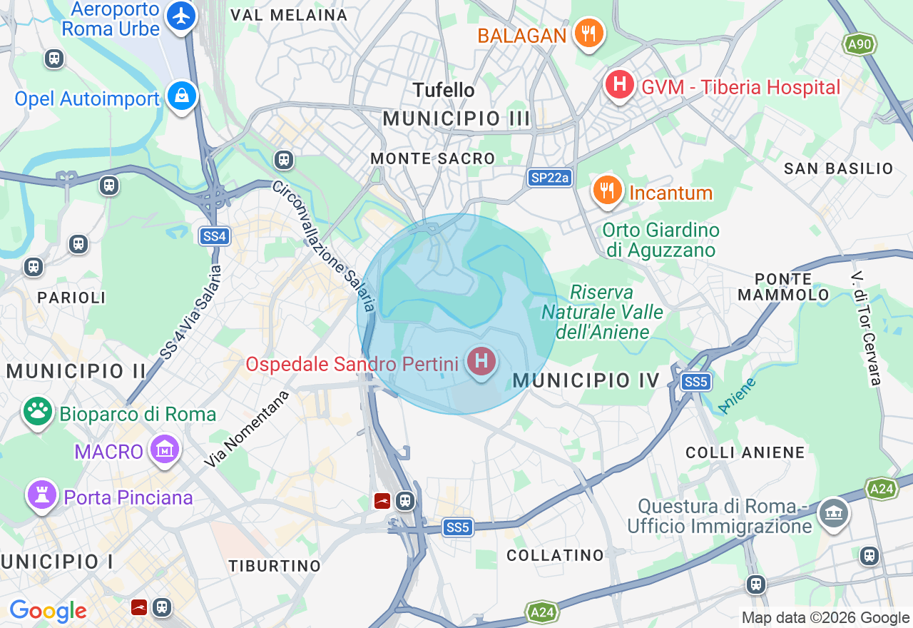 Mappa della posizione