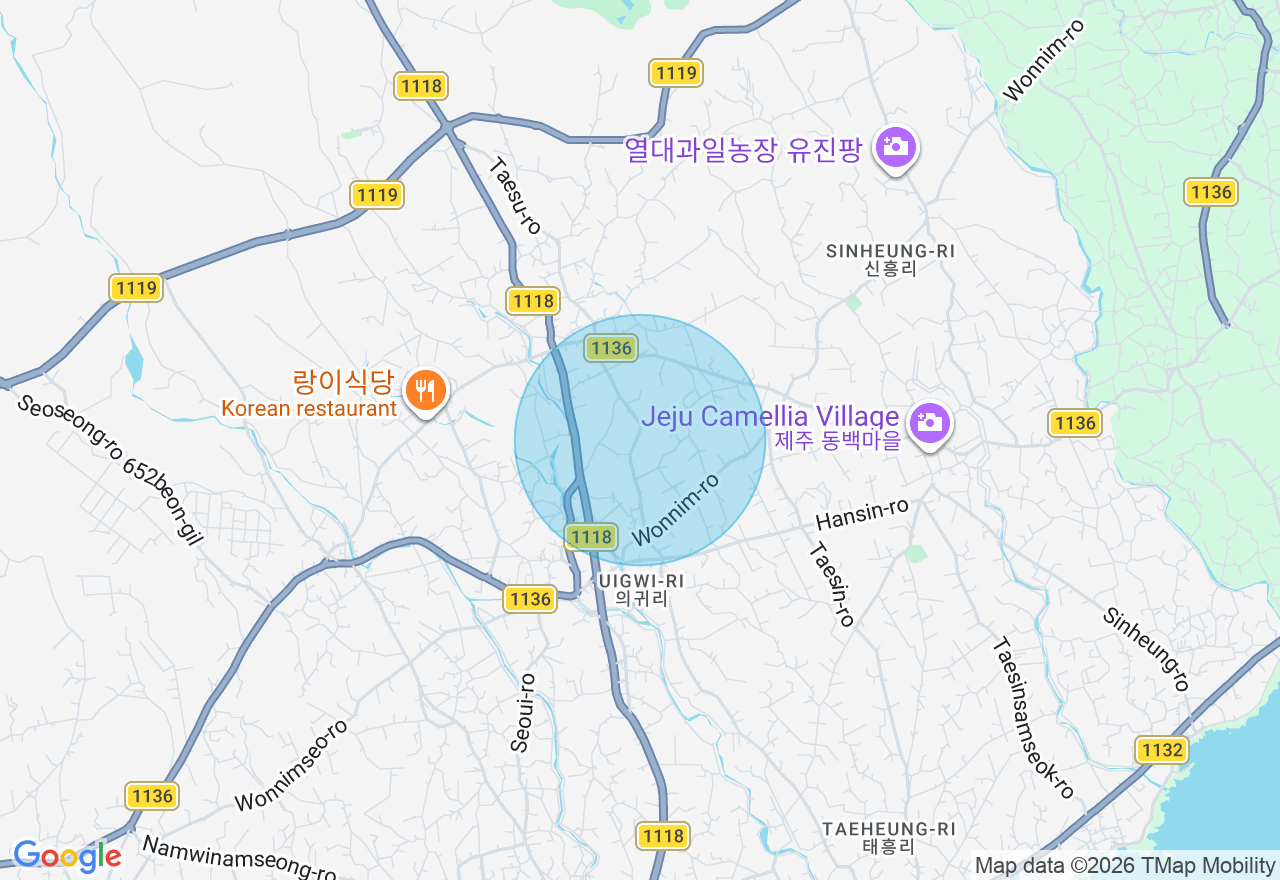 위치 지도