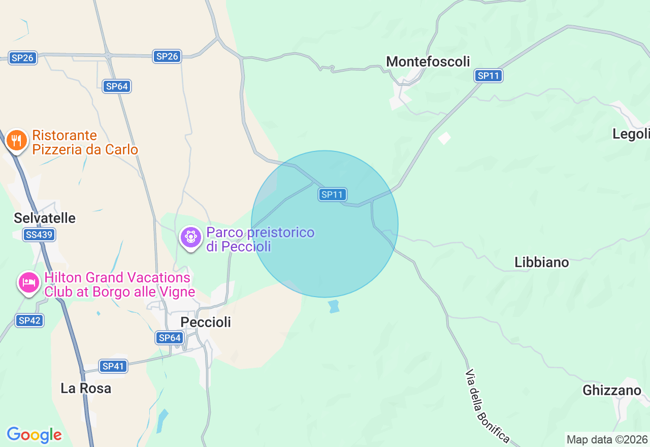 Mappa della posizione