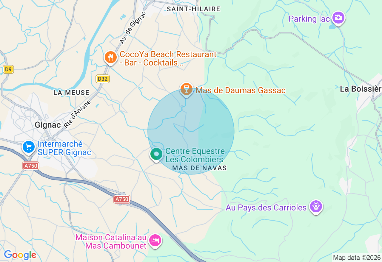 Carte de l'emplacement