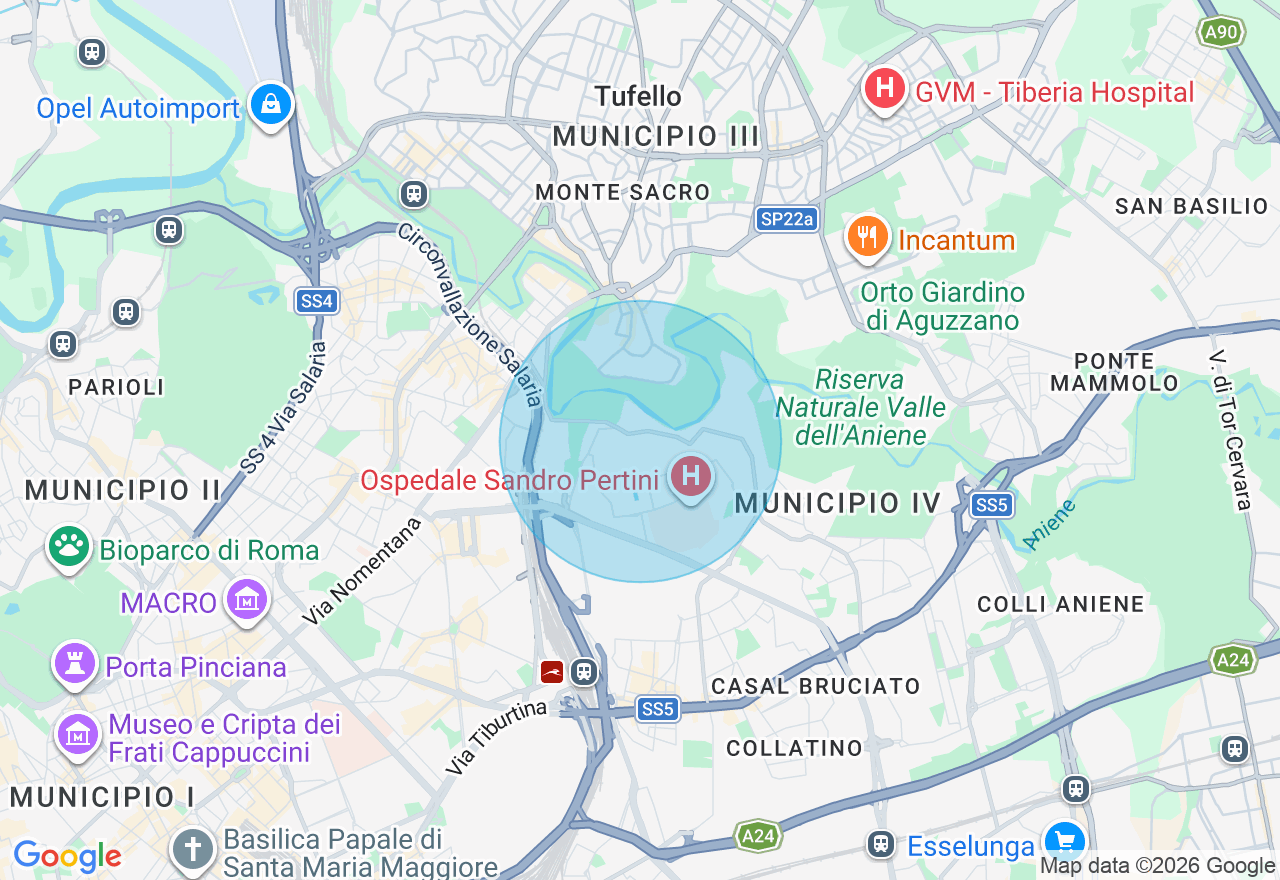 Mappa della posizione