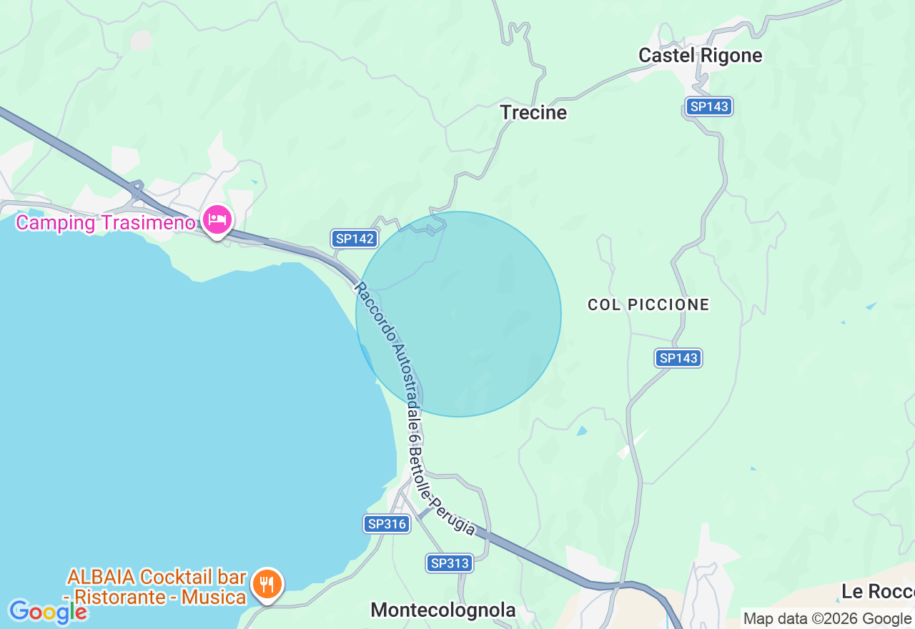 Mappa della posizione