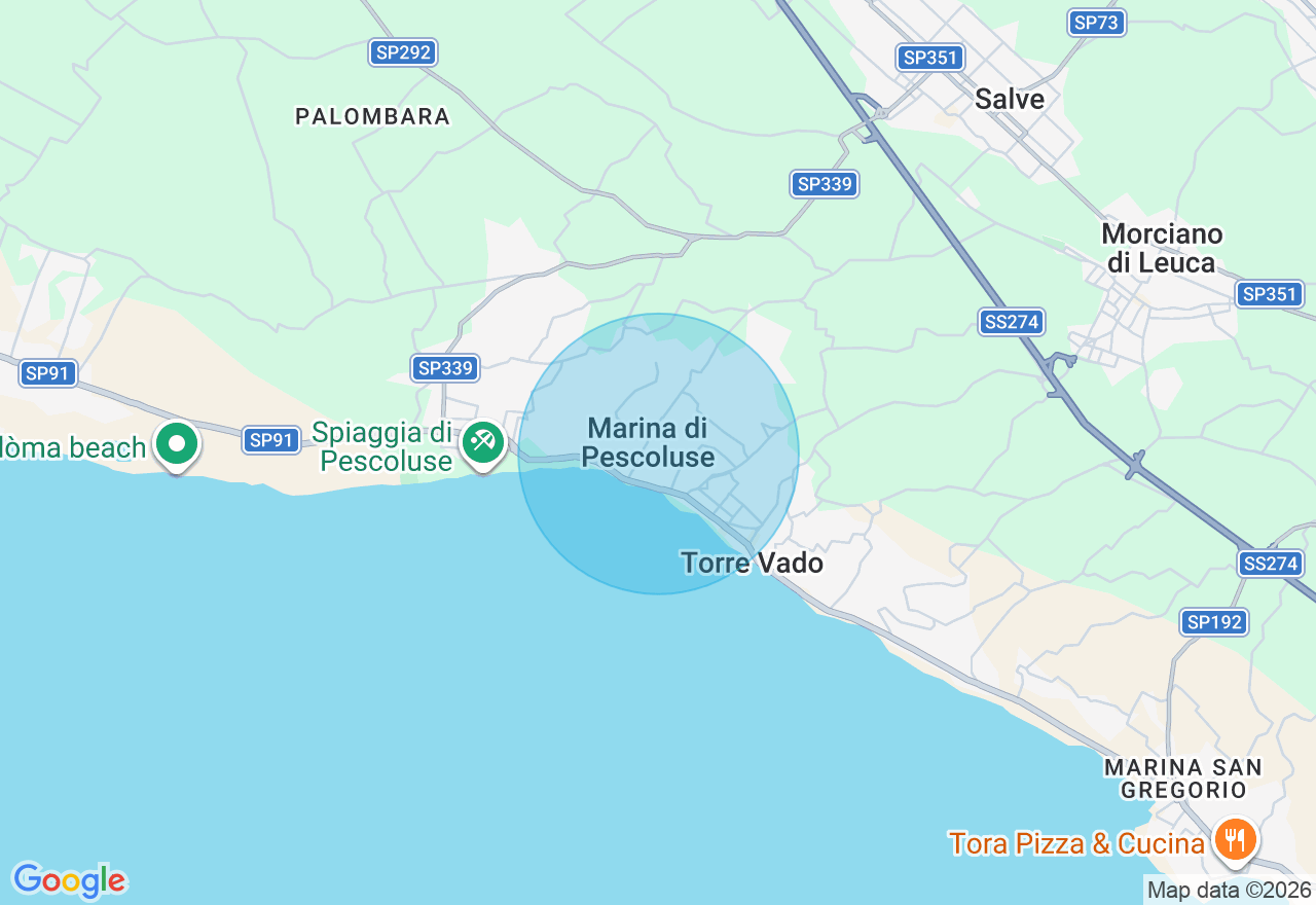 Mappa della posizione