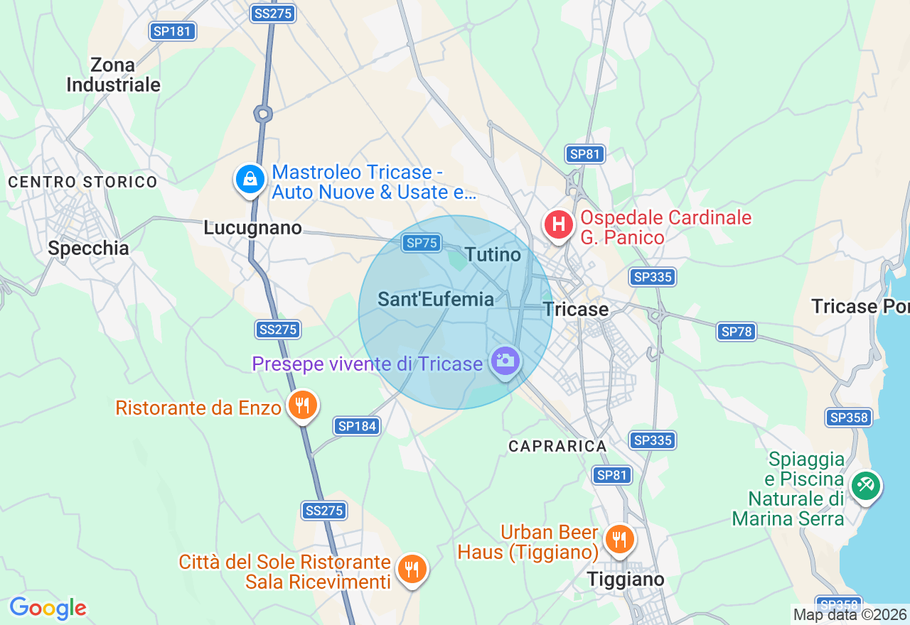 Mappa della posizione