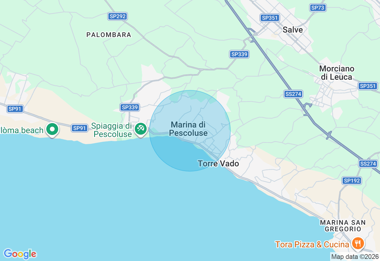 Mappa della posizione