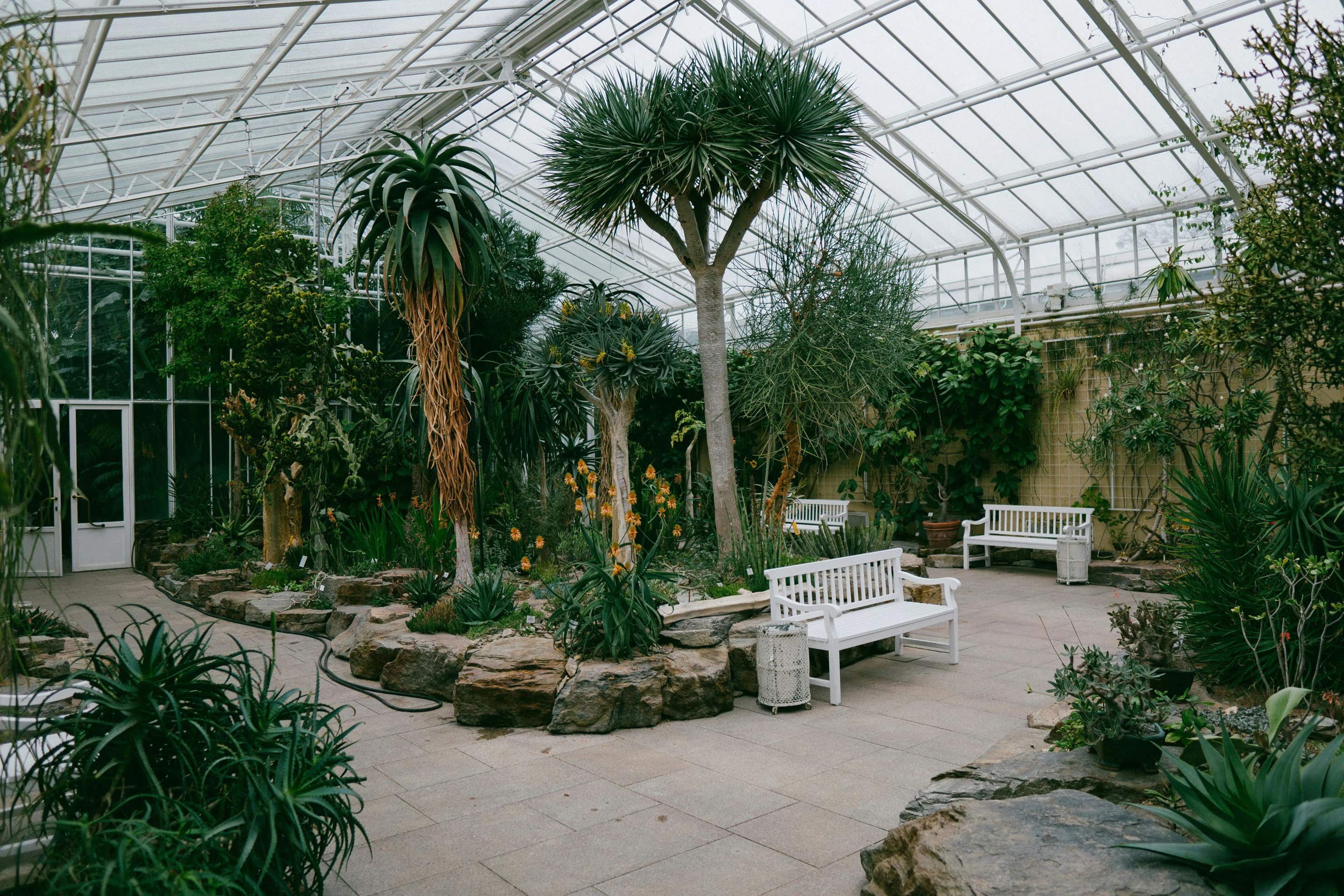 Botanical garden venues in Toronto, Canada