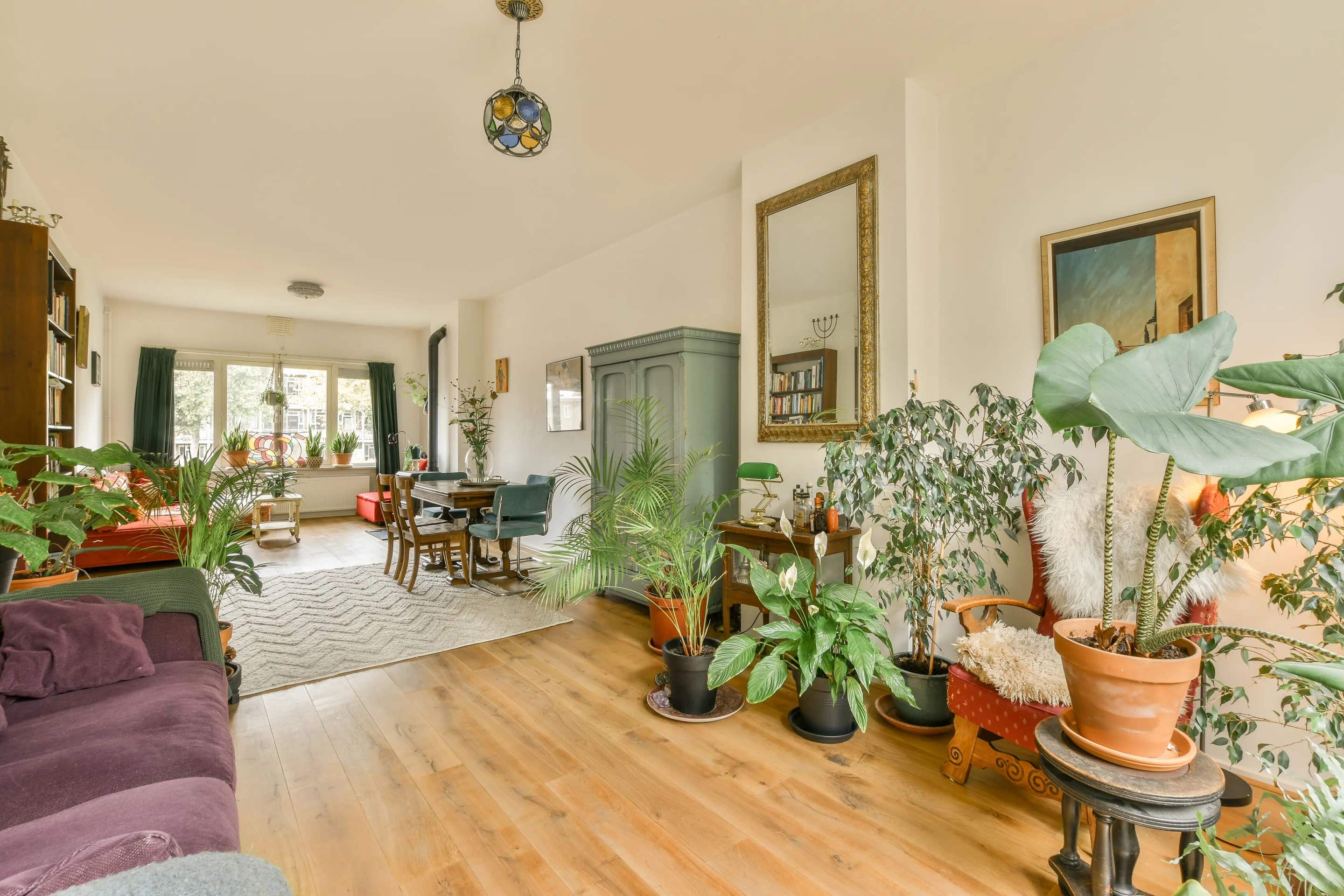 Plants spaces in Vancouver, Canada