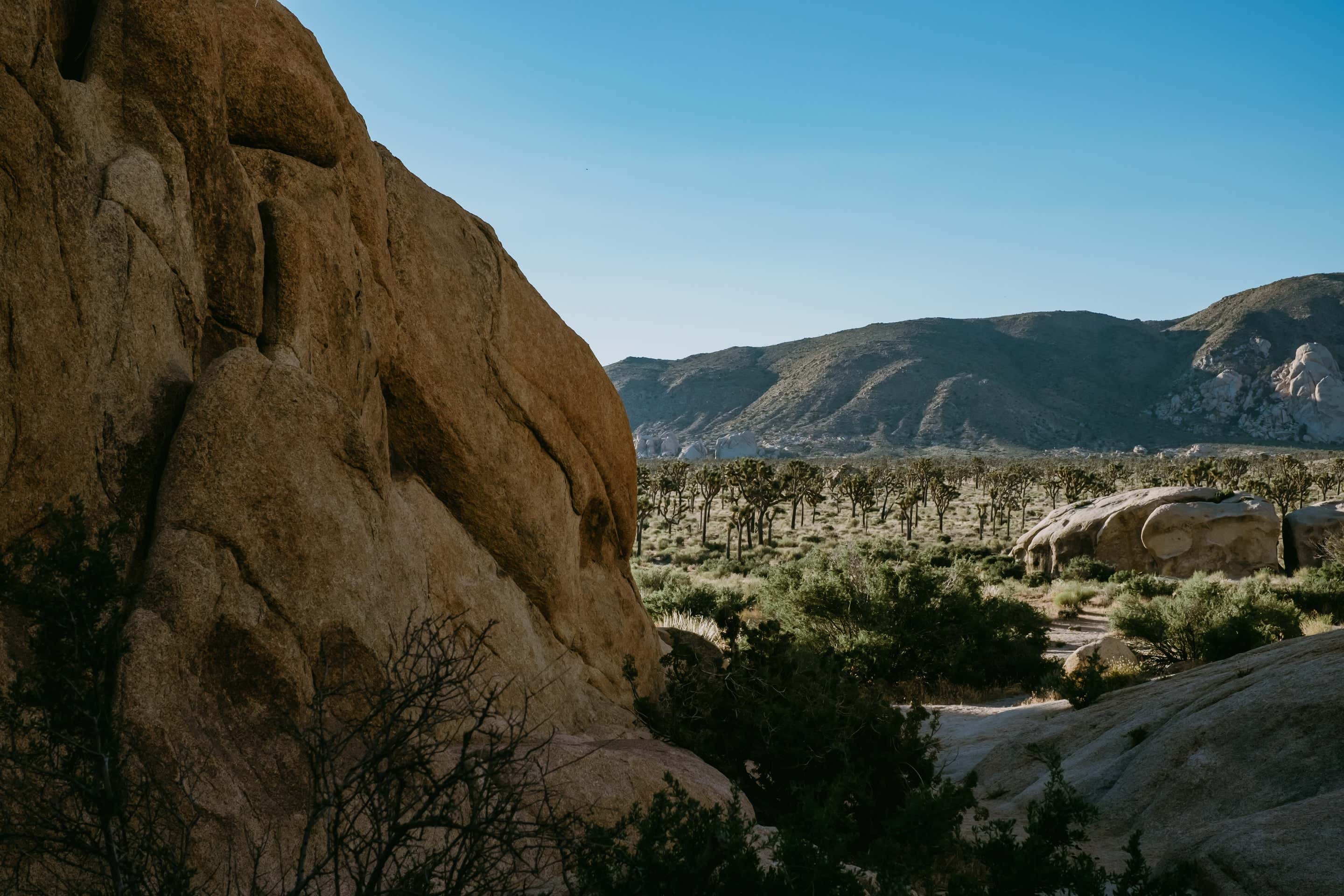 Joshua Tree, CA venues