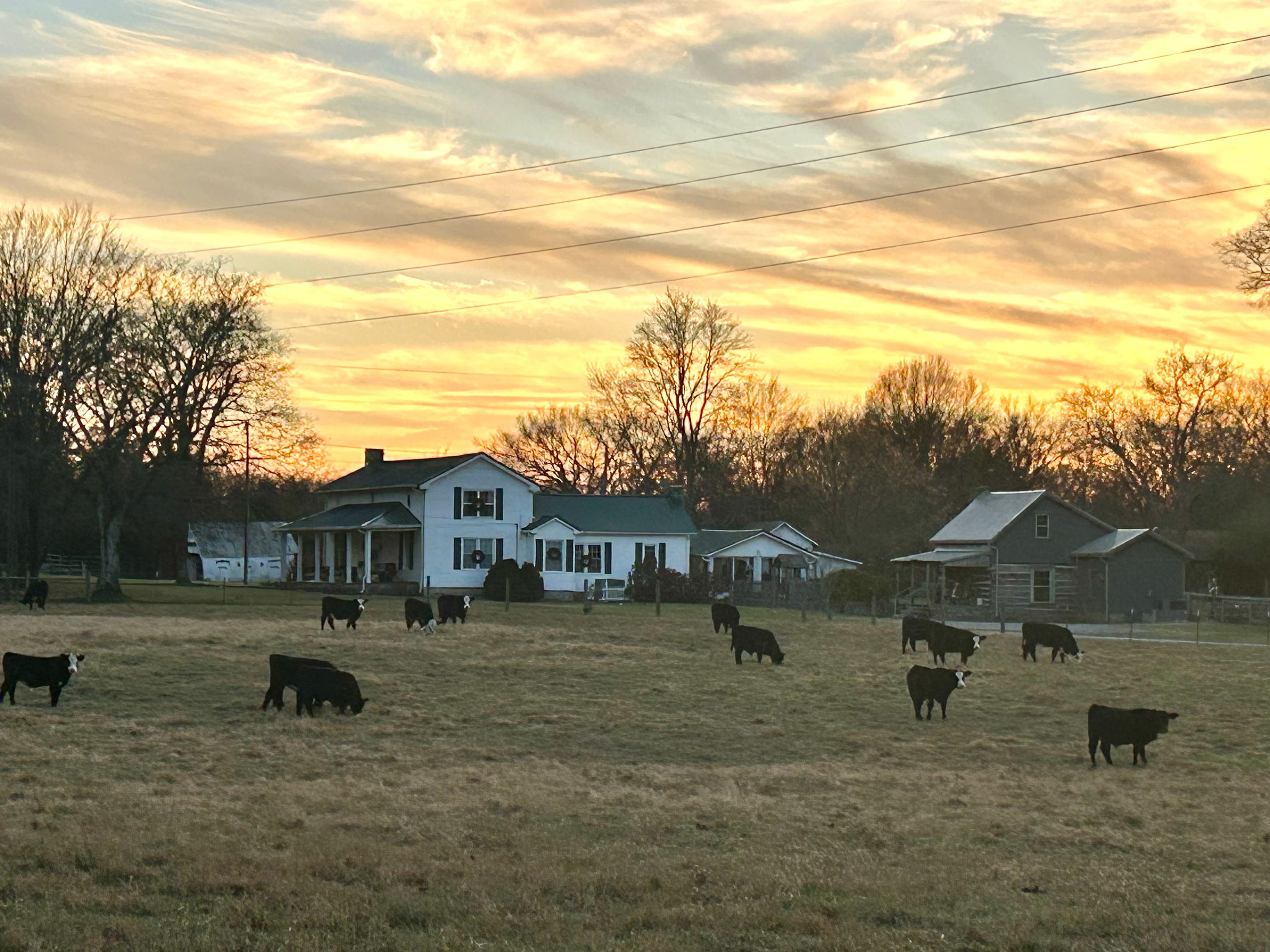 Michael and Elizabet F.