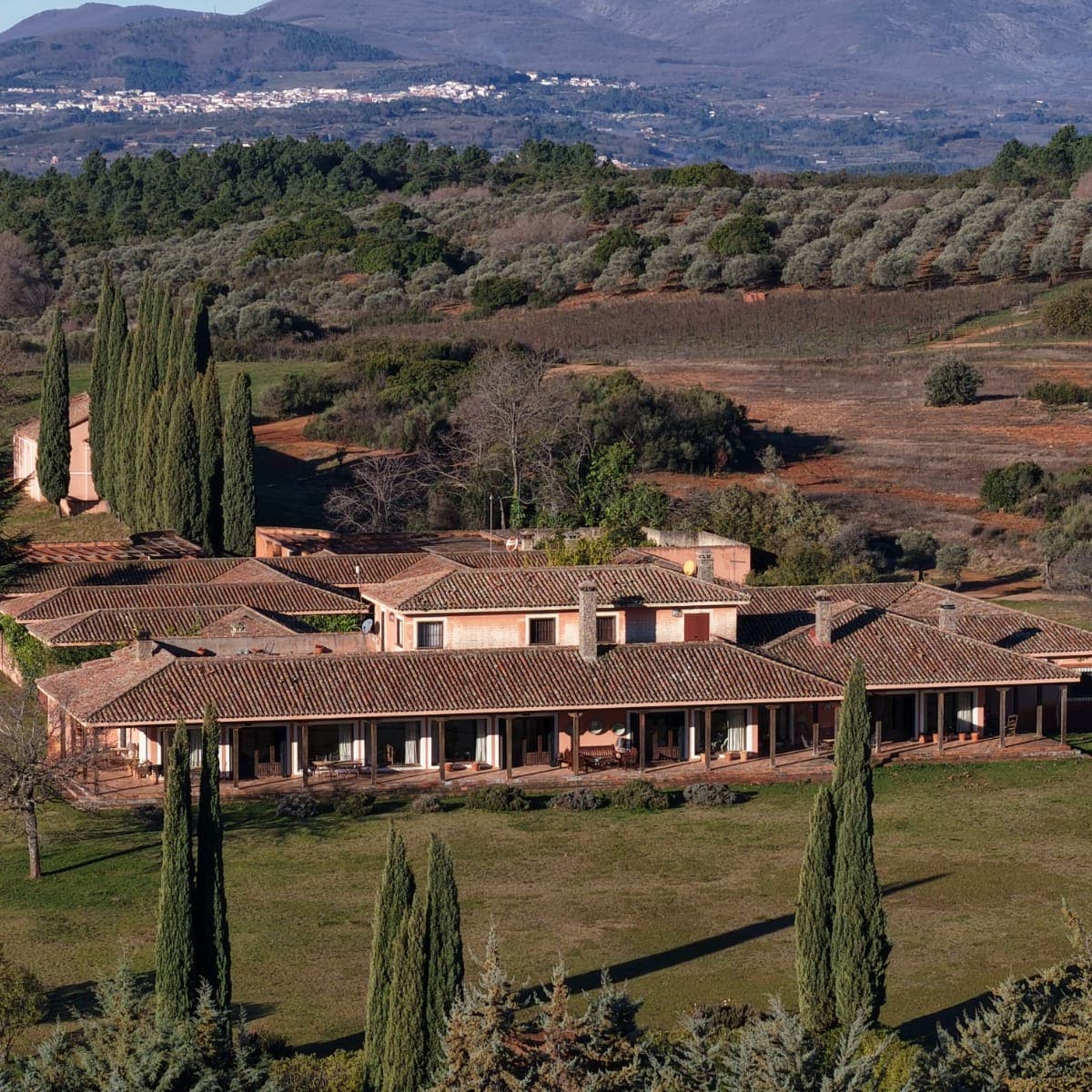 Finca V.