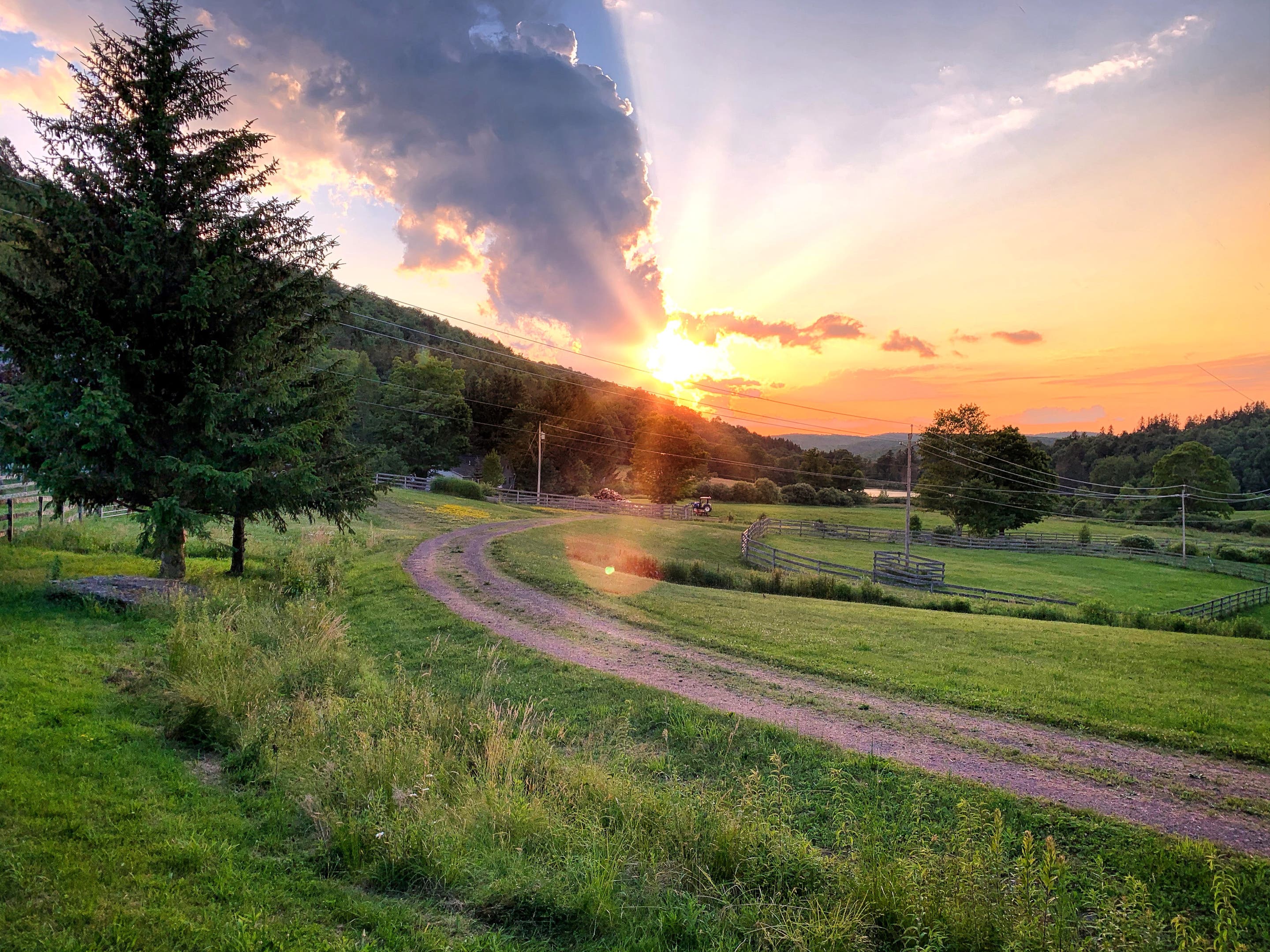 Chandra Mohan Reddy M.