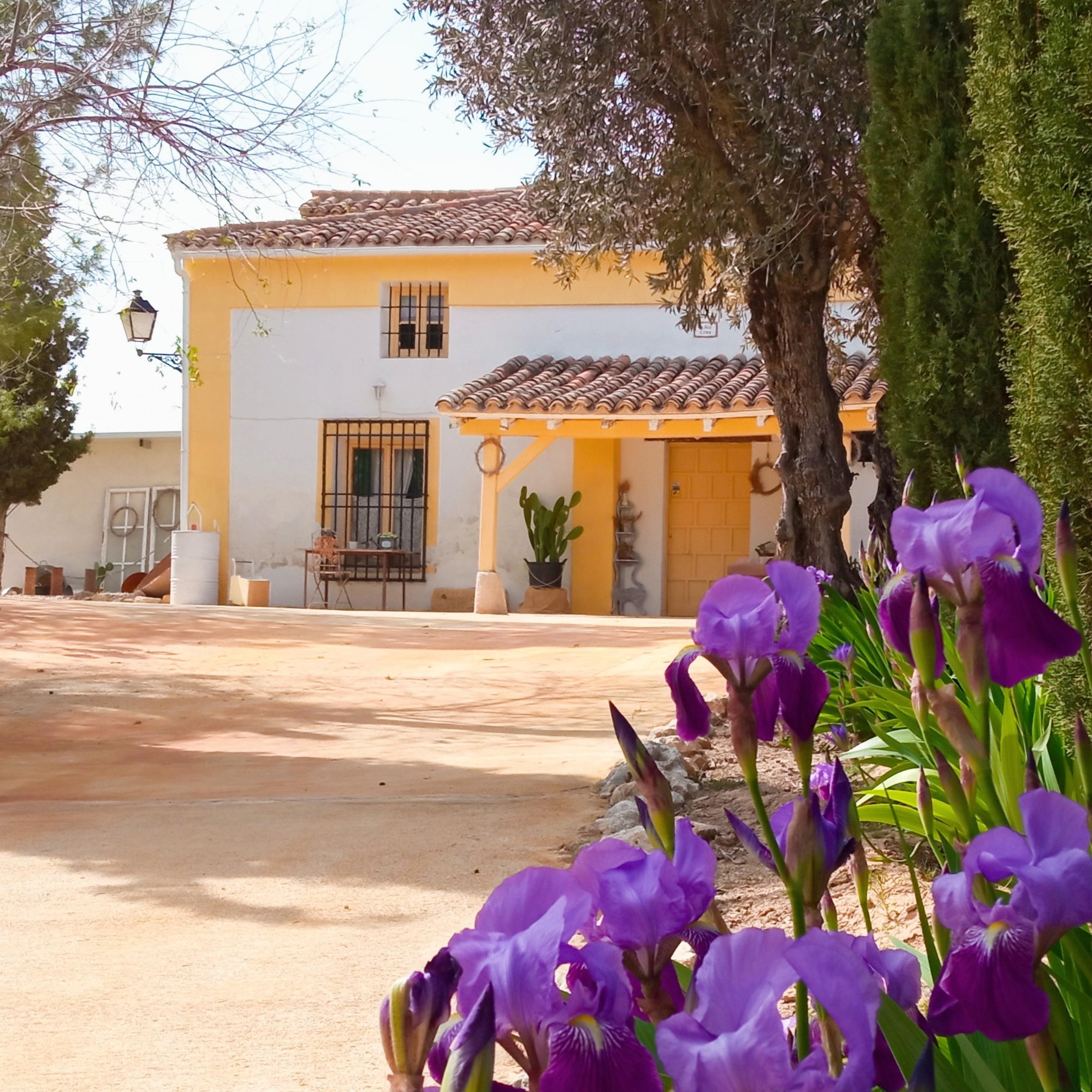 Victoria and Carlos O.