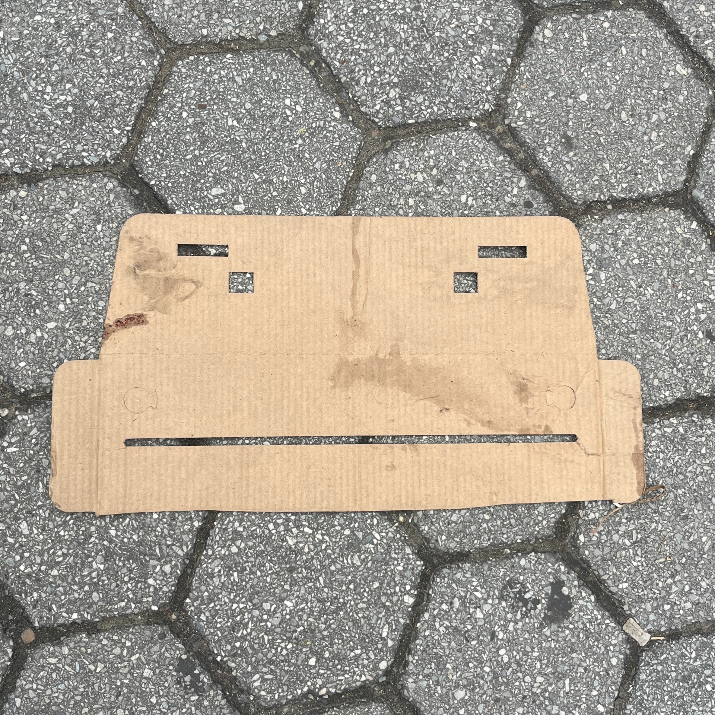 Thomas T.